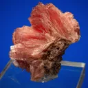 Inesite - image 4