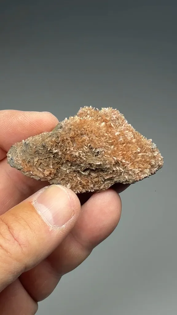 Inesite - image 2