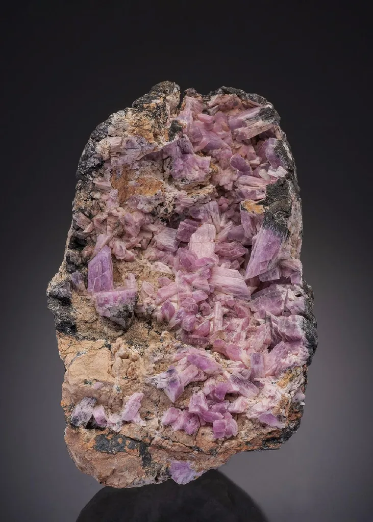 Inesite image