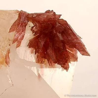 Inesite on Calcite With Orange Prehnite - image 2