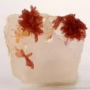 Inesite on Calcite With Orange Prehnite - image 1