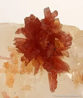 Inesite on Calcite With Orange Prehnite - image 3
