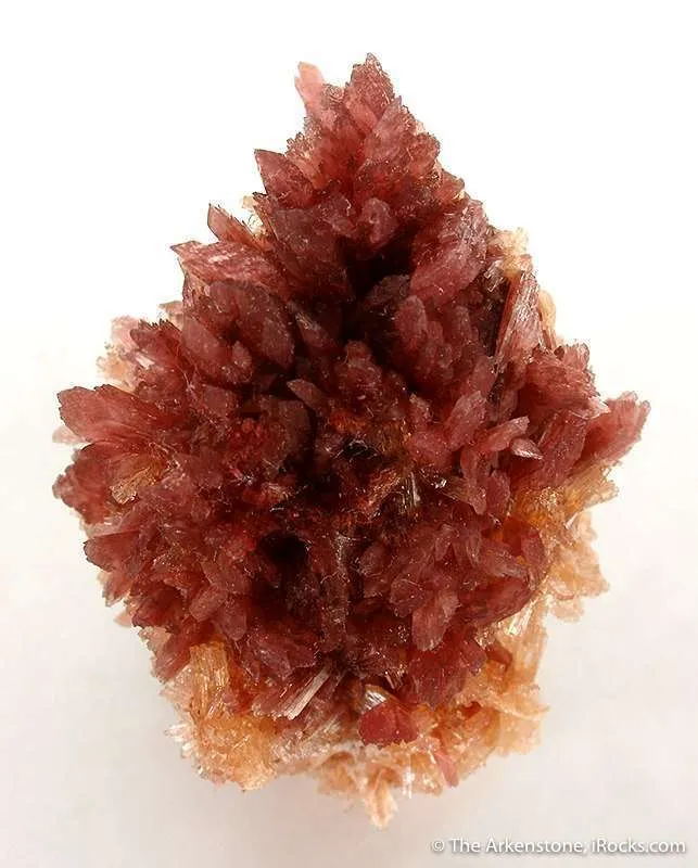 Inesite on Orange Prehnite - image 1