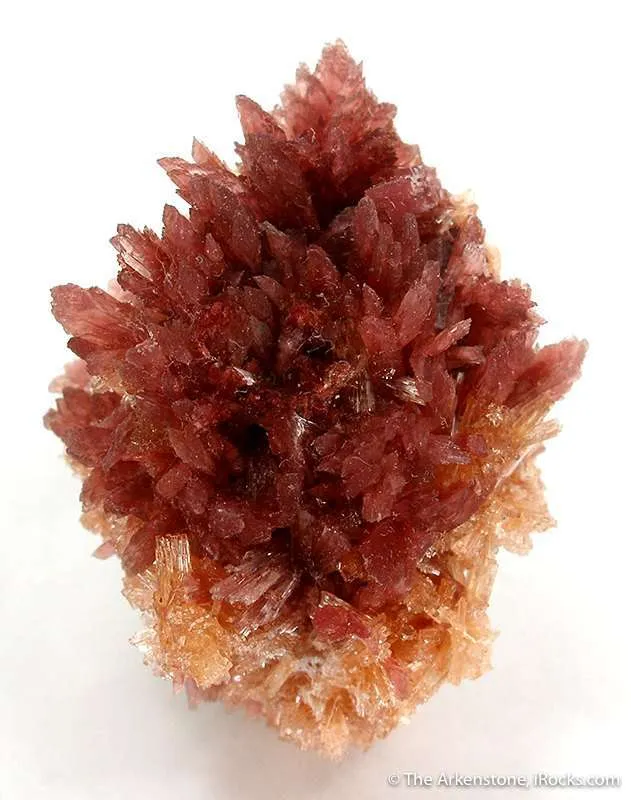 Inesite on Orange Prehnite - image 2