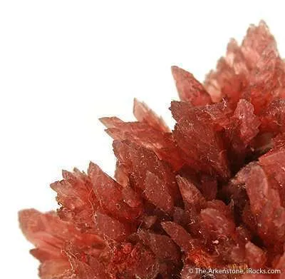 Inesite on Orange Prehnite - image 4