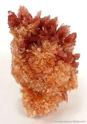 Inesite on Orange Prehnite - image 3