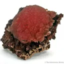 Inesite on Orlymanite - image 1