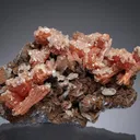 Inesite with Apophyllite - image 1