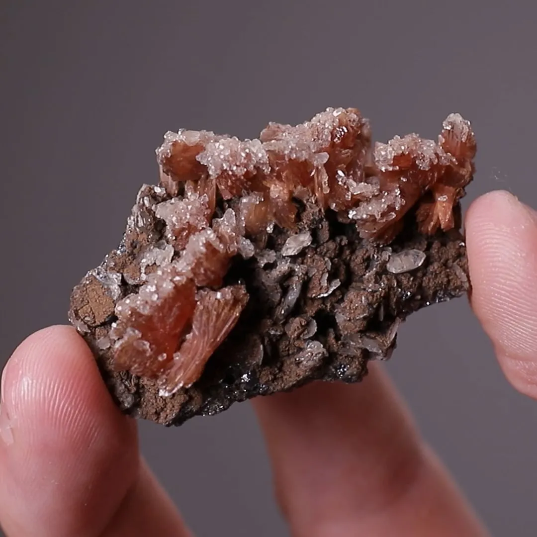 Inesite with Apophyllite - image 2