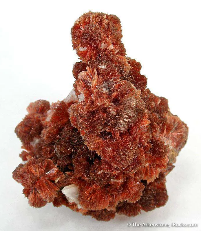 Inesite With Calcite on Orlymanite image