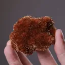 INESITE with DATOLITE - image 2