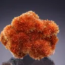 INESITE with DATOLITE - image 1