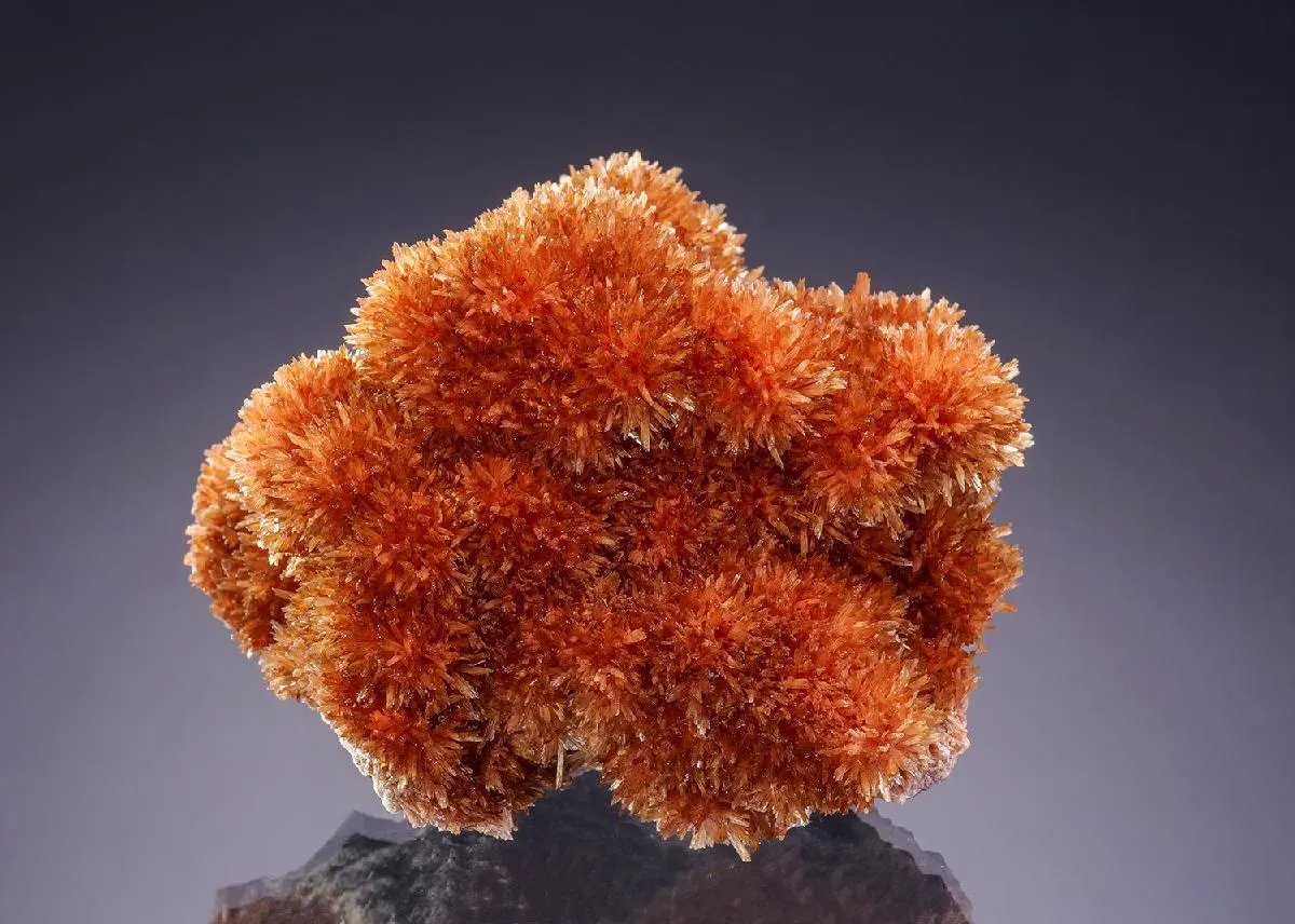 INESITE with DATOLITE - image 1