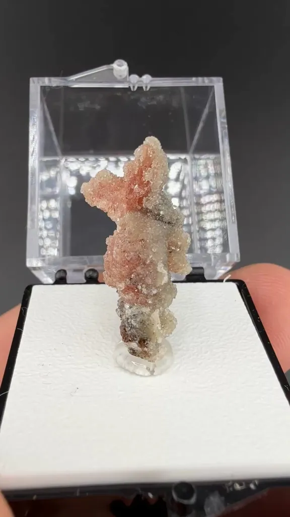 Inesite with Fluorapophyllite-K image
