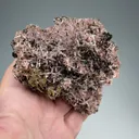 Inesite with Hubeite - image 2