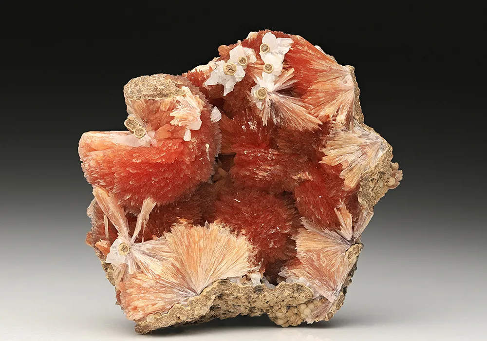 Inesite with ORLYMANITE - image 1