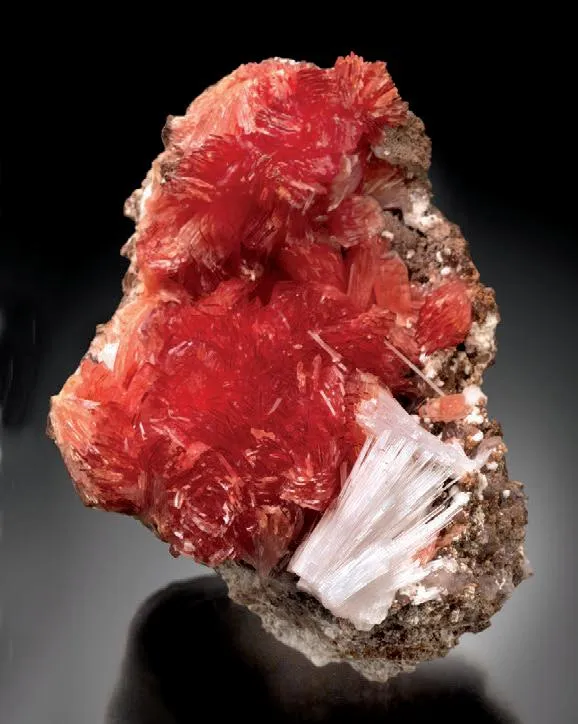 Inesite, Xonotlite image