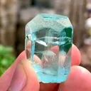 specimen video