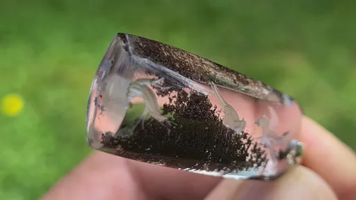 specimen video