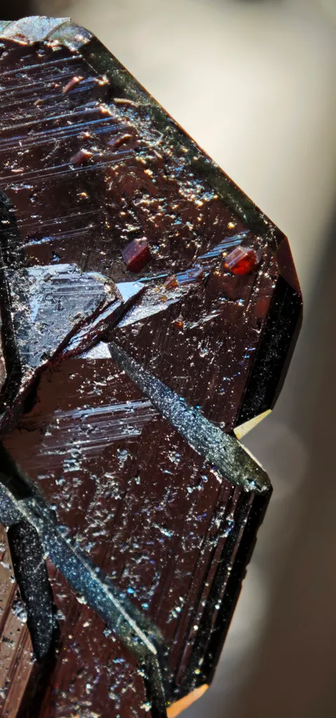 Intensely iridescent Hematite and Rutile from Cavradi Gorge, Sedrun, Switzerland - image 7
