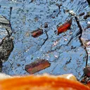 Intensely iridescent Hematite and Rutile from Cavradi Gorge, Sedrun, Switzerland - image 8