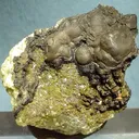 Iodargyrite, Chlorargyrite (Var: Bromian Chlorargyrite), Chlorargyrite - image 1