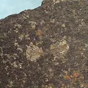 Iron - image 2