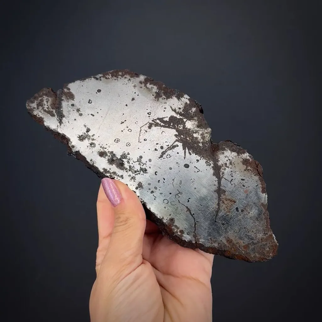 Iron var. Kamacite with Taenite image