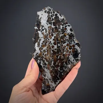 Iron var. Pallasite meteorite, with Olivine (Peridot)