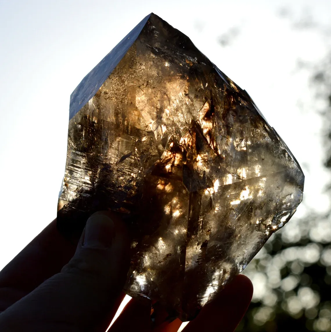 Jacaré Elestial Smoky Quartz - 690 grams - Minas Gerais, Brazil - image 10
