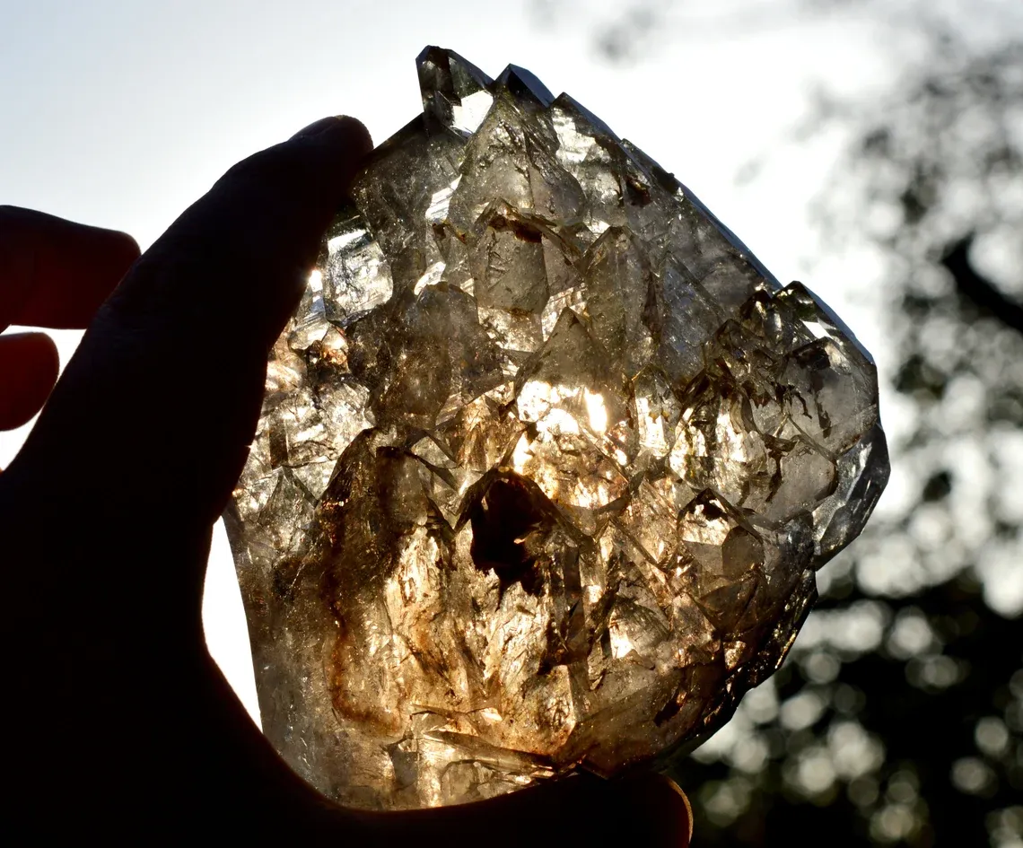 Jacaré Elestial Smoky Quartz - 690 grams - Minas Gerais, Brazil - image 9