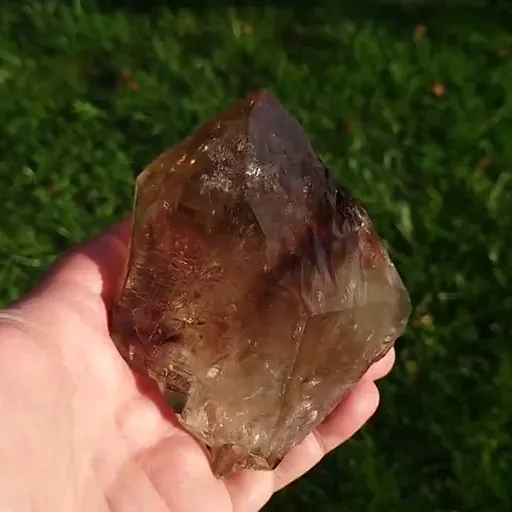 specimen video