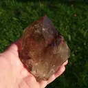 specimen video