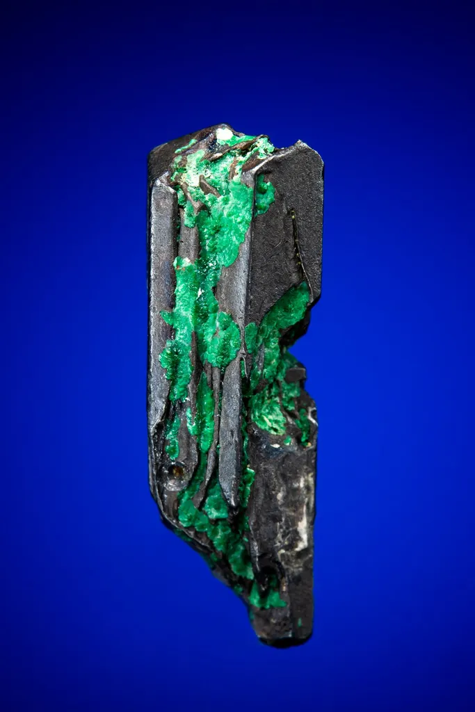 Jalpaite, type locality, La Lenora Mine, Jalpa, Zecatecas, Mexico image