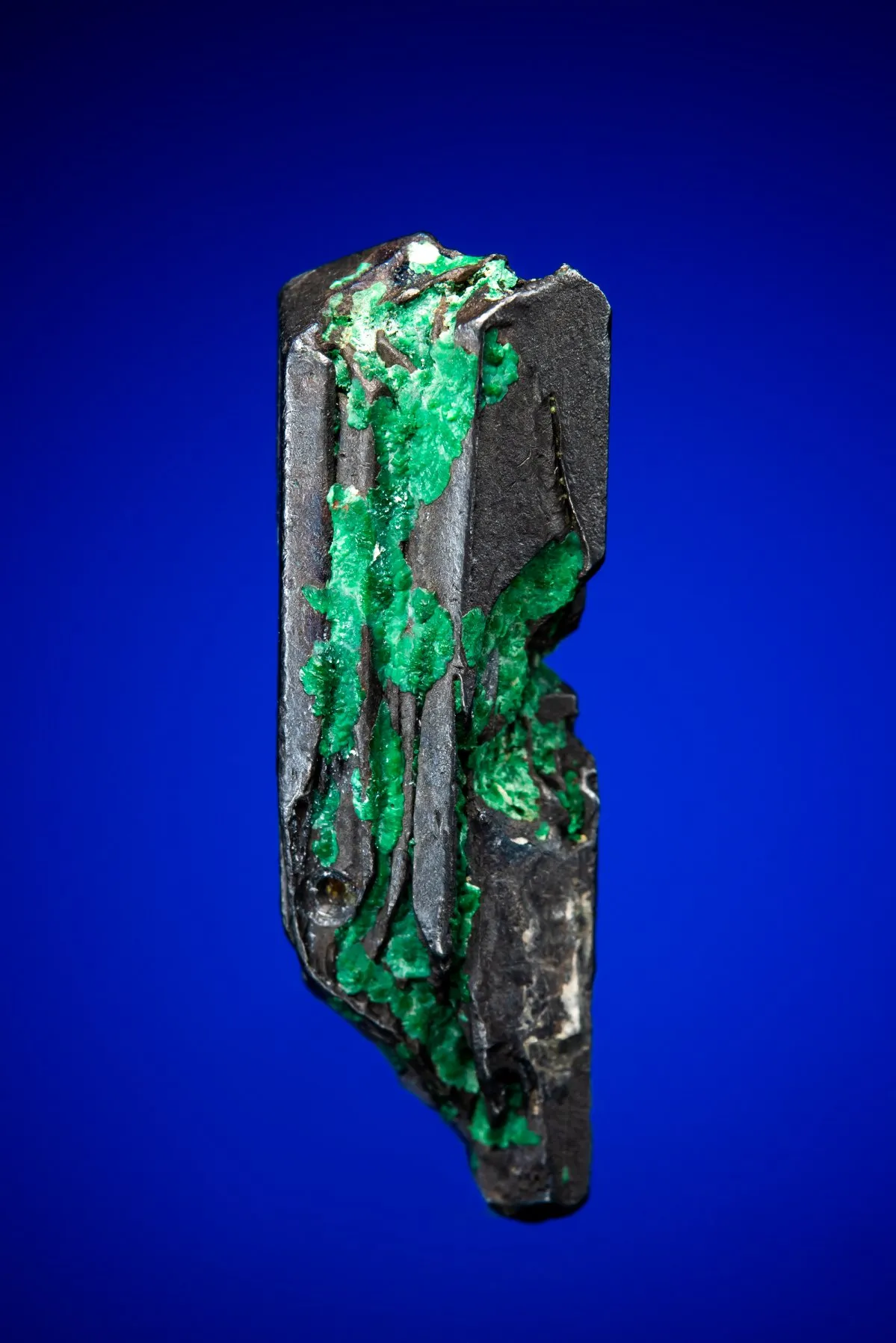Jalpaite, type locality, La Lenora Mine, Jalpa, Zecatecas, Mexico - image 1