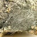 Jamesonite, Pyrite - image 2