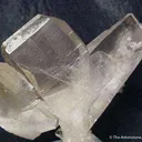 (Japan-Law Twin) on Quartz - image 2