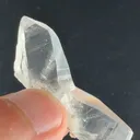 specimen video