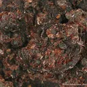 Jarosite - image 2