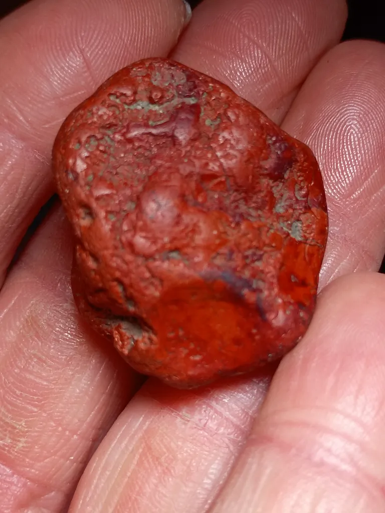 Jasper - image 2