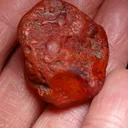 Jasper - image 2