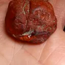 Jasper - image 1