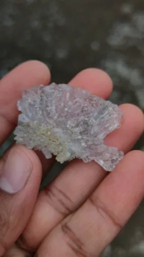 specimen video