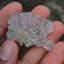 specimen video