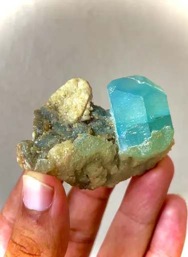 specimen video