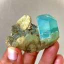 specimen video