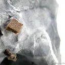 Joaquinite (Huge Xl!) With Neptunite - image 2