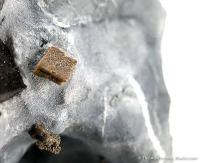 Joaquinite (Huge Xl!) With Neptunite - image 2