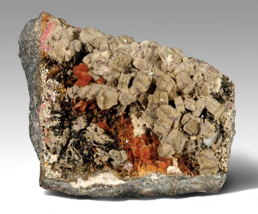 johannsenite, Axinite-(Mn), Rhodonite, Vesuvianite image