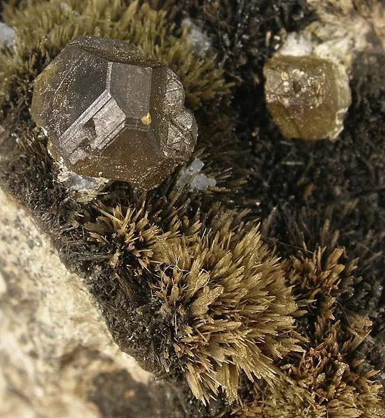 Johannsenite, Sphalerite - image 2